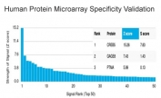 Analysis of HuProt(TM) microarray containing more than 19,000 full-length human proteins using CREB5 antibody (clone PCRP-CREB5-1G8). These results demonstrate the foremost specificity of the PCRP-CREB5-1G8 mAb. Z- and S- score: The Z-score represents the strength of a signal that an antibody (in combination with a fluorescently-tagged anti-IgG secondary Ab) produces when binding to a particular protein on the HuProt(TM) array. Z-scores are described in units of standard deviations (SD's) above the mean value of all signals generated on that array. If the targets on the HuProt(TM) are arranged in descending order of the Z-score, the S-score is the difference (also in units of SD's) between the Z-scores. The S-score therefore represents the relative target specificity of an Ab to its intended target.