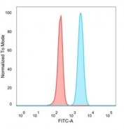 FACS staining of PFA-fixed human HeLa cells with SMNDC1 antibody (blue, clone PCRP-SMNDC1-1A9), and unstained cells (red).