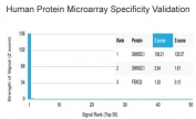 Analysis of HuProt(TM) microarray containing more than 19,000 full-length human proteins using SMNDC1 antibody (clone PCRP-SMNDC1-1A9). These results demonstrate the foremost specificity of the PCRP-SMNDC1-1A9 mAb. Z- and S- score: The Z-score represents the strength of a signal that an antibody (in combination with a fluorescently-tagged anti-IgG secondary Ab) produces when binding to a particular protein on the HuProt(TM) array. Z-scores are described in units of standard deviations (SD's) above the mean value of all signals generated on that array. If the targets on the HuProt(TM) are arranged in descending order of the Z-score, the S-score is the difference (also in units of SD's) between the Z-scores. The S-score therefore represents the relative target specificity of an Ab to its intended target.