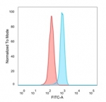 FACS staining of PFA-fixed human HeLa cells with ZBTB46 antibody (blue, clone PCRP-ZBTB46-2B8), and unstained cells (red).