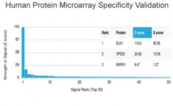 Analysis of HuProt(TM) microarray containing more than 19,000 full-length human proteins using ELK1 antibody (clone PCRP-ELK1-1B9). These results demonstrate the foremost specificity of the PCRP-ELK1-1B9 mAb. Z- and S- score: The Z-score represents the strength of a signal that an antibody (in combination wi