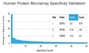 Analysis of HuProt(TM) microarray containing more than 19,000 full-length human proteins using ZBTB7C antibody (clone PCRP-ZBTB7C-4E12). These results demonstrate the foremost specificity of the PCRP-ZBTB7C-4E12 mAb. Z- and S- score: The Z-score represents the strength of a signal that an antibody (in combination with a fluorescently-tagged anti-IgG secondary Ab) produces when binding to a particular protein on the HuProt(TM) array. Z-scores are described in units of standard deviations (SD's) above the mean value of all signals generated on that array. If the targets on the HuProt(TM) are arranged in descending order of the Z-score, the S-score is the difference (also in units of SD's) between the Z-scores. The S-score therefore represents the relative target specificity of an Ab to its intended target.