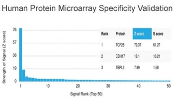 Analysis of HuProt(TM) microarray containing more than 19,000 full-length human proteins using TCF-25 antibody (clone PCRP-TCF25-1F12). These results demonstrate the foremost specificity of the PCRP-TCF25-1F12 mAb. Z- and S- score: The Z-score represents the strength of a signal that an antibody (in combinat