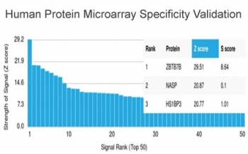 Analysis of HuProt(TM) microarray containing more than 19,000 full-length human proteins using Th-Pok antibody (clone PCRP-ZBTB7B-1B6). These results demonstrate the foremost specificity of the PCRP-ZBTB7B-1B6 mAb. Z- and S- score: The Z-score represents the strength of a signal that an antibody (in combination with a fluorescently-tagged anti-IgG secondary Ab) produces when binding to a particular protein on the HuProt(TM) array. Z-scores are described in units of standard deviations (SD's) above the mean value of all signals generated on that array. If the targets on the HuProt(TM) are arranged in descending order of the Z-score, the S-score is the difference (also in units of SD's) between the Z-scores. The S-score therefore represents the relative target specificity of an Ab to its intended target.