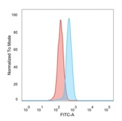 FACS staining of PFA-fixed human HeLa cells with PRMT6 antibody (blue, clone PCRP-PRMT6-2C9), and unstained cells (red).