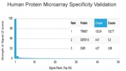 Analysis of HuProt(TM) microarray containing more than 19,000 full-length human proteins using TRIM27 antibody (clone PCRP-TRIM27-1B3). These results demonstrate the foremost specificity of the PCRP-TRIM27-1B3 mAb. Z- and S- score: The Z-score represents the strength of a signal that an antibody (in combination with a fluorescently-tagged anti-IgG secondary Ab) produces when binding to a particular protein on the HuProt(TM) array. Z-scores are described in units of standard deviations (SD's) above the mean value of all signals generated on that array. If the targets on the HuProt(TM) are arranged in descending order of the Z-score, the S-score is the difference (also in units of SD's) between the Z-scores. The S-score therefore represents the relative target specificity of an Ab to its intended target.