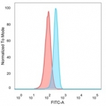 FACS staining of PFA-fixed human HeLa cells with SMARCC1 antibody (blue, clone PCRP-SMARCC1-1F1), and unstained cells (red).