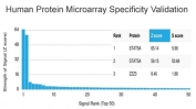Analysis of HuProt(TM) microarray containing more than 19,000 full-length human proteins using STAT5A antibody (clone PCRP-STAT5A-1A9). These results demonstrate the foremost specificity of the PCRP-STAT5A-1A9 mAb. Z- and S- score: The Z-score represents the strength of a signal that an antibody (in combination with a fluorescently-tagged anti-IgG secondary Ab) produces when binding to a particular protein on the HuProt(TM) array. Z-scores are described in units of standard deviations (SD's) above the mean value of all signals generated on that array. If the targets on the HuProt(TM) are arranged in descending order of the Z-score, the S-score is the difference (also in units of SD's) between the Z-scores. The S-score therefore represents the relative target specificity of an Ab to its intended target.
