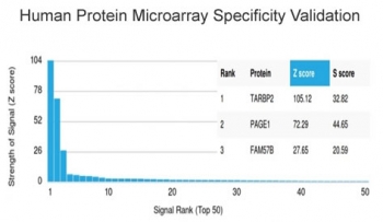 Analysis of HuProt(TM) microarray containing more than 19,000 full-length human proteins using TARBP2 antibody (clone PCRP-TARBP2-1E5). These results demonstrate the foremost specificity of the PCRP-TARBP2-1E5 mAb. Z- and S- score: The Z-score represents the strength of a signal that an antibody (in combination with a fluorescently-tagged anti-IgG secondary Ab) produces when binding to a particular protein on the HuProt(TM) array. Z-scores are described in units of standard deviations (SD's) above the mean value of all signals generated on that array. If the targets on the HuProt(TM) are arranged in descending order of the Z-score, the S-score is the difference (also in units of SD's) between the Z-scores. The S-score therefore represents the relative target specificity of an Ab to its intended target.