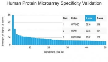 Analysis of HuProt(TM) microarray containing more than 19,000 full-length human proteins using GTF2H2C antibody (clone PCRP-GTF2H2C-2C9). These results demonstrate the foremost specificity of the PCRP-GTF2H2C-2C9 mAb. Z- and S- score: The Z-score represents the strength of a signal that an antibody (in combination with a fluorescently-tagged anti-IgG secondary Ab) produces when binding to a particular protein on the HuProt(TM) array. Z-scores are described in units of standard deviations (SD's) above the mean value of all signals generated on that array. If the targets on the HuProt(TM) are arranged in descending order of the Z-score, the S-score is the difference (also in units of SD's) between the Z-scores. The S-score therefore represents the relative target specificity of an Ab to its intended target.