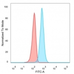 FACS staining of PFA-fixed human HeLa cells with TSC22D1 antibody (blue, clone PCRP-TSC22D1-1A2), and unstained cells (red).