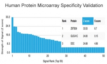 Analysis of HuProt(TM) microarray containing more than 19,000 full-length human proteins using ZBTB39 antibody (clone PCRP-ZBTB39-1A11). These results demonstrate the foremost specificity of the PCRP-ZBTB39-1A11 mAb. Z- and S- score: The Z-score represents the strength of a signal that an antibody (in combination with a fluorescently-tagged anti-IgG secondary Ab) produces when binding to a particular protein on the HuProt(TM) array. Z-scores are described in units of standard deviations (SD's) above the mean value of all signals generated on that array. If the targets on the HuProt(TM) are arranged in descending order of the Z-score, the S-score is the difference (also in units of SD's) between the Z-scores. The S-score therefore represents the relative target specificity of an Ab to its intended target.