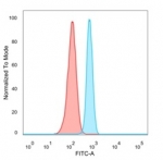 FACS staining of PFA-fixed human HeLa cells with Pancreas/duodenum homeobox protein 1 antibody (blue, clone PCRP-PDX1-2C11), and unstained cells (red).