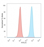 FACS staining of PFA-fixed human HeLa cells with SET antibody (blue, clone PCRP-SET-1C6) and isotype control (red).