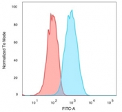 FACS staining of PFA-fixed human MCF7 cells with CELF2 antibody (blue, clone PCRP-CELF2-1E4) and unstained cells (red).