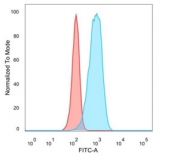 FACS staining of PFA-fixed human HeLa cells with CELF2 antibody (blue) and unstained cells (red).