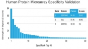 Analysis of HuProt(TM) microarray containing more than 19,000 full-length human proteins using SERPINA3 antibody (clone SERPINA3/4190). These results demonstrate the foremost specificity of the SERPINA3/4190 mAb. Z- and S- score: The Z-score represents the strength of a signal that an antibody (in combination with a fluorescently-tagged anti-IgG secondary Ab) produces when binding to a particular protein on the HuProt(TM) array. Z-scores are described in units of standard deviations (SD's) above the mean value of all signals generated on that array. If the targets on the HuProt(TM) are arranged in descending order of the Z-score, the S-score is the difference (also in units of SD's) between the Z-scores. The S-score therefore represents the relative target specificity of an Ab to its intended target.