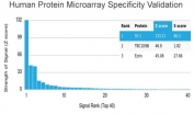 Analysis of HuProt(TM) microarray containing more than 19,000 full-length human proteins using SF-1 antibody (clone NR5A1/3420). These results demonstrate the foremost specificity of the NR5A1/3420 mAb. Z- and S- score: The Z-score represents the strength of a signal that an antibody (in combination with a fluorescently-tagged anti-IgG secondary Ab) produces when binding to a particular protein on the HuProt(TM) array. Z-scores are described in units of standard deviations (SD's) above the mean value of all signals generated on that array. If the targets on the HuProt(TM) are arranged in descending order of the Z-score, the S-score is the difference (also in units of SD's) between the Z-scores. The S-score therefore represents the relative target specificity of an Ab to its intended target.