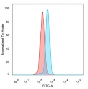 FACS staining of PFA-fixed human HeLa cells with ZC3H7A antibody (blue, clone PCRP-ZC3H7A-1D6) and isotype control (red).