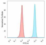 FACS staining of PFA-fixed human HeLa cells with Daxx antibody (blue, clone PCRP-DAXX-5G11), and unstained cells (red).