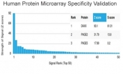 Analysis of HuProt(TM) microarray containing more than 19,000 full-length human proteins using Daxx antibody (clone PCRP-DAXX-6A8). These results demonstrate the foremost specificity of the PCRP-DAXX-6A8 mAb. Z- and S- score: The Z-score represents the strength of a signal that an antibody (in combination with a fluorescently-tagged anti-IgG secondary Ab) produces when binding to a particular protein on the HuProt(TM) array. Z-scores are described in units of standard deviations (SD's) above the mean value of all signals generated on that array. If the targets on the HuProt(TM) are arranged in descending order of the Z-score, the S-score is the difference (also in units of SD's) between the Z-scores. The S-score therefore represents the relative target specificity of an Ab to its intended target.