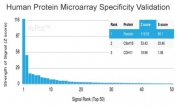 Analysis of HuProt(TM) microarray containing more than 19,000 full-length human proteins using RETN antibody (clone RETN/4327). These results demonstrate the foremost specificity of the RETN/4327 mAb. Z- and S- score: The Z-score represents the strength of a signal that an antibody (in combination with a fluorescently-tagged anti-IgG secondary Ab) produces when binding to a particular protein on the HuProt(TM) array. Z-scores are described in units of standard deviations (SD's) above the mean value of all signals generated on that array. If the targets on the HuProt(TM) are arranged in descending order of the Z-score, the S-score is the difference (also in units of SD's) between the Z-scores. The S-score therefore represents the relative target specificity of an Ab to its intended target.