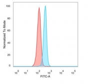 FACS staining of PFA-fixed human HeLa cells with Bcl6 antibody (blue, clone PCRP-BCL6-1D3), and unstained cells (red).