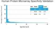 Analysis of HuProt(TM) microarray containing more than 19,000 full-length human proteins using Bcl6 antibody (clone PCRP-BCL6-1D3). These results demonstrate the foremost specificity of the PCRP-BCL6-1D3 mAb. Z- and S- score: The Z-score represents the strength of a signal that an antibody (in combination with a fluorescently-tagged anti-IgG secondary Ab) produces when binding to a particular protein on the HuProt(TM) array. Z-scores are described in units of standard deviations (SD's) above the mean value of all signals generated on that array. If the targets on the HuProt(TM) are arranged in descending order of the Z-score, the S-score is the difference (also in units of SD's) between the Z-scores. The S-score therefore represents the relative target specificity of an Ab to its intended target.