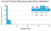 Analysis of HuProt(TM) microarray containing more than 19,000 full-length human proteins using GLIS3 antibody (clone PCRP-GLIS3-1B11). These results demonstrate the foremost specificity of the PCRP-GLIS3-1B11 mAb. Z- and S- score: The Z-score represents the strength of a signal that an antibody (in combination with a fluorescently-tagged anti-IgG secondary Ab) produces when binding to a particular protein on the HuProt(TM) array. Z-scores are described in units of standard deviations (SD's) above the mean value of all signals generated on that array. If the targets on the HuProt(TM) are arranged in descending order of the Z-score, the S-score is the difference (also in units of SD's) between the Z-scores. The S-score therefore represents the relative target specificity of an Ab to its intended target.
