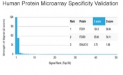 Analysis of HuProt(TM) microarray containing more than 19,000 full-length human proteins using FOXL1 antibody (clone PCRP-FOXL1-1F8). These results demonstrate the foremost specificity of the PCRP-FOXL1-1F8 mAb. Z- and S- score: The Z-score represents the strength of a signal that an antibody (in combination with a fluorescently-tagged anti-IgG secondary Ab) produces when binding to a particular protein on the HuProt(TM) array. Z-scores are described in units of standard deviations (SD's) above the mean value of all signals generated on that array. If the targets on the HuProt(TM) are arranged in descending order of the Z-score, the S-score is the difference (also in units of SD's) between the Z-scores. The S-score therefore represents the relative target specificity of an Ab to its intended target.
