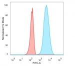 FACS staining of PFA-fixed human U-87 MG cells with IGFBP3 antibody (blue, clone IGFBP3/3424) and isotype control (red).