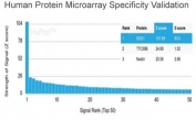 Analysis of HuProt(TM) microarray containing more than 19,000 full-length human proteins using Superoxide Dismutase 1 antibody (clone SOD1/3923). These results demonstrate the foremost specificity of the SOD1/3923 mAb. Z- and S- score: The Z-score represents the strength of a signal that an antibody (in combination with a fluorescently-tagged anti-IgG secondary Ab) produces when binding to a particular protein on the HuProt(TM) array. Z-scores are described in units of standard deviations (SD's) above the mean value of all signals generated on that array. If the targets on the HuProt(TM) are arranged in descending order of the Z-score, the S-score is the difference (also in units of SD's) between the Z-scores. The S-score therefore represents the relative target specificity of an Ab to its intended target.