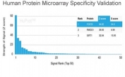 Analysis of HuProt(TM) microarray containing more than 19,000 full-length human proteins using FGF-23 antibody (clone FGF23/4169). These results demonstrate the foremost specificity of the FGF23/4169 mAb. Z- and S- score: The Z-score represents the strength of a signal that an antibody (in combination with a fluorescently-tagged anti-IgG secondary Ab) produces when binding to a particular protein on the HuProt(TM) array. Z-scores are described in units of standard deviations (SD's) above the mean value of all signals generated on that array. If the targets on the HuProt(TM) are arranged in descending order of the Z-score, the S-score is the difference (also in units of SD's) between the Z-scores. The S-score therefore represents the relative target specificity of an Ab to its intended target.
