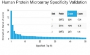 Analysis of HuProt(TM) microarray containing more than 19,000 full-length human proteins using DMRT2 antibody (clone PCRP-DMRT2-1B11). These results demonstrate the foremost specificity of the PCRP-DMRT2-1B11 mAb. Z- and S- score: The Z-score represents the strength of a signal that an antibody (in combination with a fluorescently-tagged anti-IgG secondary Ab) produces when binding to a particular protein on the HuProt(TM) array. Z-scores are described in units of standard deviations (SD's) above the mean value of all signals generated on that array. If the targets on the HuProt(TM) are arranged in descending order of the Z-score, the S-score is the difference (also in units of SD's) between the Z-scores. The S-score therefore represents the relative target specificity of an Ab to its intended target.