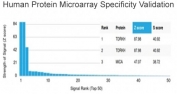 Analysis of HuProt(TM) microarray containing more than 19,000 full-length human proteins using TDRKH antibody (clone PCRP-TDRKH-1H2). These results demonstrate the foremost specificity of the PCRP-TDRKH-1H2 mAb. Z- and S- score: The Z-score represents the strength of a signal that an antibody (in combination with a fluorescently-tagged anti-IgG secondary Ab) produces when binding to a particular protein on the HuProt(TM) array. Z-scores are described in units of standard deviations (SD's) above the mean value of all signals generated on that array. If the targets on the HuProt(TM) are arranged in descending order of the Z-score, the S-score is the difference (also in units of SD's) between the Z-scores. The S-score therefore represents the relative target specificity of an Ab to its intended target.