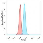 FACS staining of PFA-fixed human HeLa cells with Chk2 antibody (blue, clone PCRP-CHEK2-1A4), and unstained cells (red).