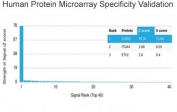 Analysis of HuProt(TM) microarray containing more than 19,000 full-length human proteins using Chk2 antibody (clone PCRP-CHEK2-1A4). These results demonstrate the foremost specificity of the PCRP-CHEK2-1A4 mAb. Z- and S- score: The Z-score represents the strength of a signal that an antibody (in combination with a fluorescently-tagged anti-IgG secondary Ab) produces when binding to a particular protein on the HuProt(TM) array. Z-scores are described in units of standard deviations (SD's) above the mean value of all signals generated on that array. If the targets on the HuProt(TM) are arranged in descending order of the Z-score, the S-score is the difference (also in units of SD's) between the Z-scores. The S-score therefore represents the relative target specificity of an Ab to its intended target.