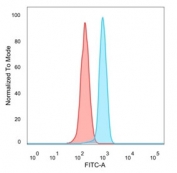 FACS staining of PFA-fixed human HeLa cells with KLF12 antibody (blue, clone PCRP-KLF12-1E3), and unstained cells (red).