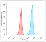 FACS staining of PFA-fixed human HeLa cells with JAZF1 antibody (blue, clone PCRP-JAZF1-1C2), and unstained cells (red).