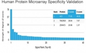 Analysis of HuProt(TM) microarray containing more than 19,000 full-length human proteins using Angiotensin Converting Enzyme antibody (clone ACE/3764). These results demonstrate the foremost specificity of the ACE/3764 mAb. Z- and S- score: The Z-score represents the strength of a signal that an antibody (in combination with a fluorescently-tagged anti-IgG secondary Ab) produces when binding to a particular protein on the HuProt(TM) array. Z-scores are described in units of standard deviations (SD's) above the mean value of all signals generated on that array. If the targets on the HuProt(TM) are arranged in descending order of the Z-score, the S-score is the difference (also in units of SD's) between the Z-scores. The S-score therefore represents the relative target specificity of an Ab to its intended target.