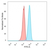 FACS staining of PFA-fixed human U-87 MG cells with IL-7 antibody (blue, clone IL7/4012), and isotype control (red).