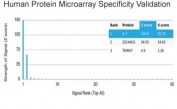 Analysis of HuProt(TM) microarray containing more than 19,000 full-length human proteins using IL-7 antibody (clone IL7/4012). These results demonstrate the foremost specificity of the IL7/4012 mAb. Z- and S- score: The Z-score represents the strength of a signal that an antibody (in combination with a fluorescently-tagged anti-IgG secondary Ab) produces when binding to a particular protein on the HuProt(TM) array. Z-scores are described in units of standard deviations (SD's) above the mean value of all signals generated on that array. If the targets on the HuProt(TM) are arranged in descending order of the Z-score, the S-score is the difference (also in units of SD's) between the Z-scores. The S-score therefore represents the relative target specificity of an Ab to its intended target.