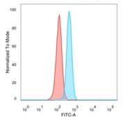 FACS staining of PFA-fixed human HeLa cells with TFIIB antibody (blue, clone PCRP-GTF2B-1D1) and isotype control (red).