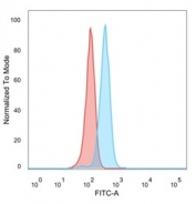 FACS staining of PFA-fixed human HeLa cells with HDAC1 antibody (blue, clone PCRP-HDAC1-1B7) and isotype control (red).