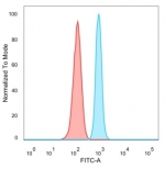 FACS staining of PFA-fixed human HeLa cells with ZNF81 antibody (blue, clone PCRP-ZNF81-2G2) and isotype control (red).