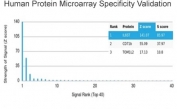 Analysis of HuProt(TM) microarray containing more than 19,000 full-length human proteins using Interleukin 6 Receptor subunit beta antibody (clone IL6ST/4101). These results demonstrate the foremost specificity of the IL6ST/4101 mAb. Z- and S- score: The Z-score represents the strength of a signal that an antibody (in combination with a fluorescently-tagged anti-IgG secondary Ab) produces when binding to a particular protein on the HuProt(TM) array. Z-scores are described in units of standard deviations (SD's) above the mean value of all signals generated on that array. If the targets on the HuProt(TM) are arranged in descending order of the Z-score, the S-score is the difference (also in units of SD's) between the Z-scores. The S-score therefore represents the relative target specificity of an Ab to its intended target.