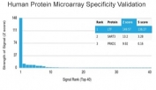 Analysis of HuProt(TM) microarray containing more than 19,000 full-length human proteins using LTF antibody (clone LTF/4073). These results demonstrate the foremost specificity of the LTF/4073 mAb. Z- and S- score: The Z-score represents the strength of a signal that an antibody (in combination with a fluorescently-tagged anti-IgG secondary Ab) produces when binding to a particular protein on the HuProt(TM) array. Z-scores are described in units of standard deviations (SD's) above the mean value of all signals generated on that array. If the targets on the HuProt(TM) are arranged in descending order of the Z-score, the S-score is the difference (also in units of SD's) between the Z-scores. The S-score therefore represents the relative target specificity of an Ab to its intended target.