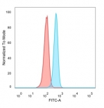 FACS staining of PFA-fixed human HeLa cells with Myf-4 antibody (blue, clone PCRP-MYOG-1C5) and isotype control (red).