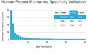 Analysis of HuProt(TM) microarray containing more than 19,000 full-length human proteins using Neurogenin 3 antibody (clone PCRP-NEUROG3-1E10). These results demonstrate the foremost specificity of the PCRP-NEUROG3-1E10 mAb. Z- and S- score: The Z-score represents the strength of a signal that an antibody (in combination with a fluorescently-tagged anti-IgG secondary Ab) produces when binding to a particular protein on the HuProt(TM) array. Z-scores are described in units of standard deviations (SD's) above the mean value of all signals generated on that array. If the targets on the HuProt(TM) are arranged in descending order of the Z-score, the S-score is the difference (also in units of SD's) between the Z-scores. The S-score therefore represents the relative target specificity of an Ab to its intended target.