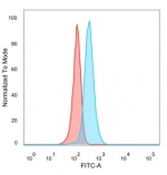 FACS staining of PFA-fixed human HeLa cells with PHF10 antibody (blue, clone PCRP-PHF10-2A10) and isotype control (red).